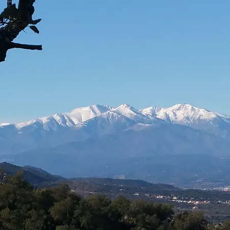 D'hotes Et Al Pati Sorède