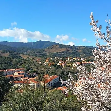 D'hotes Et Al Pati